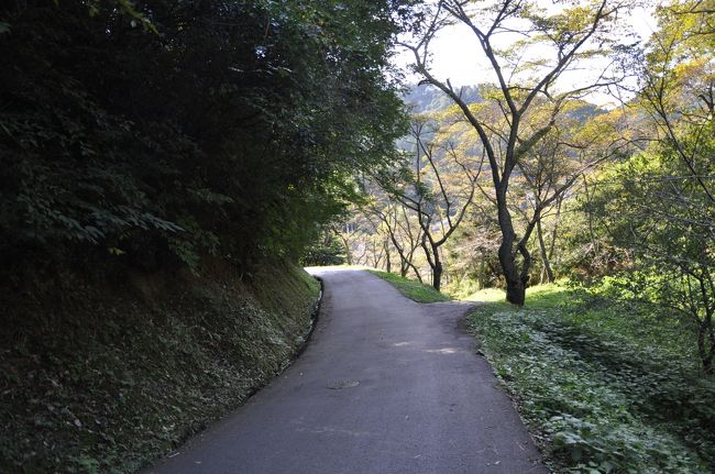 更に坂道を上ります。