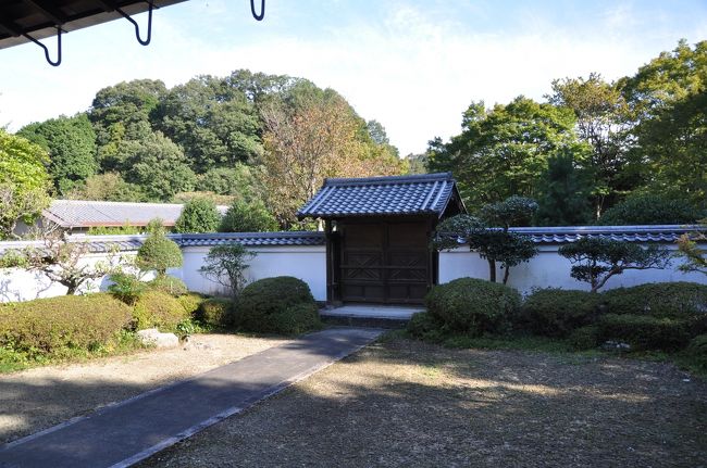 本堂からの眺め。