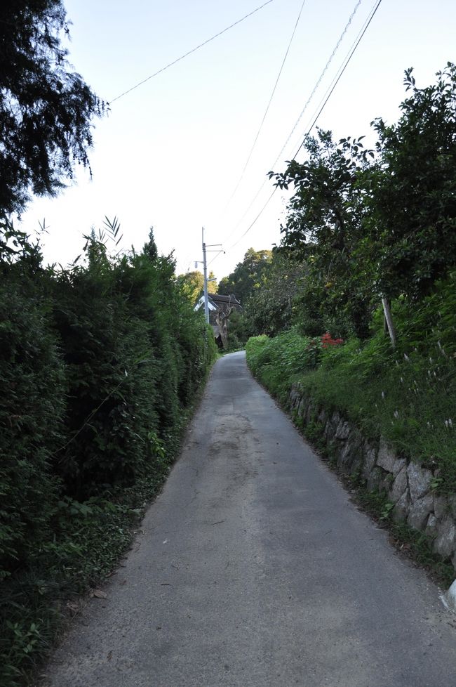 屋敷を出て来た道を戻ります。