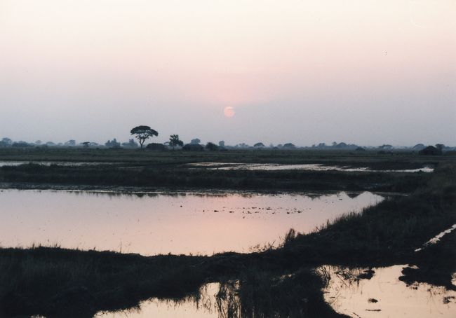 ヤンゴンまでの道路から眺める夕陽。