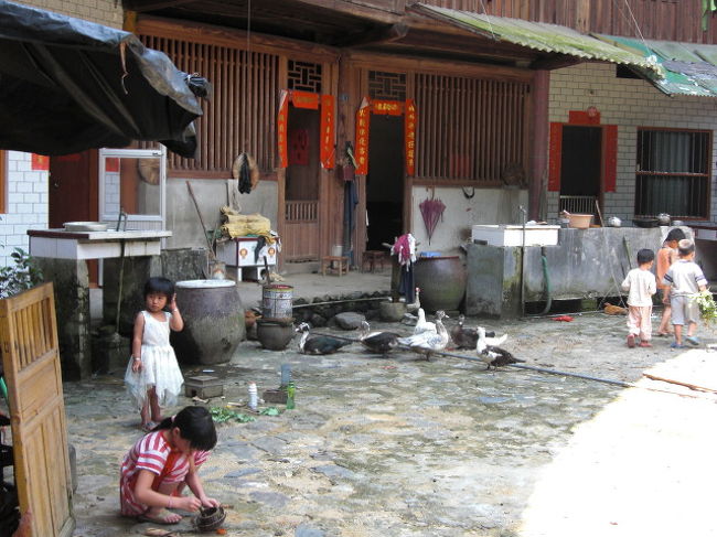 子供がたくさん、ガチョウもたくさん。