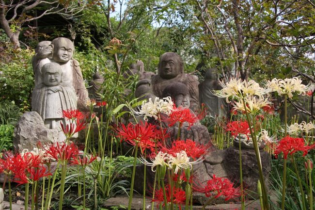 彼岸花 石仏 河童を楽しめる常泉寺 大和 神奈川県 の旅行記 ブログ By Morino296さん フォートラベル