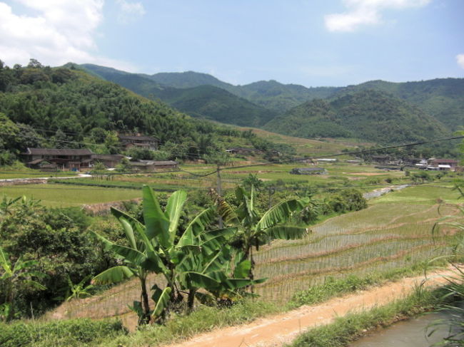 バス下車後、のどかな田舎道を歩く。<br />遠くに点在する家も土楼建築の一種。