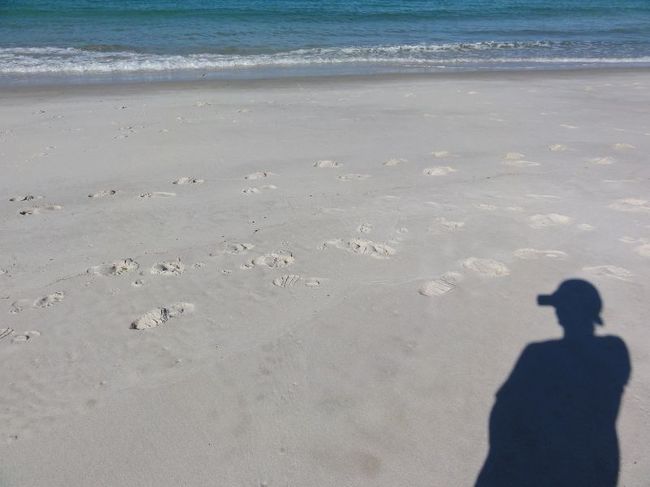 いやー、いいね。日本のビーチって黒い砂がほとんどだと思うんだけど、南の島のような白い浜はサイコー。