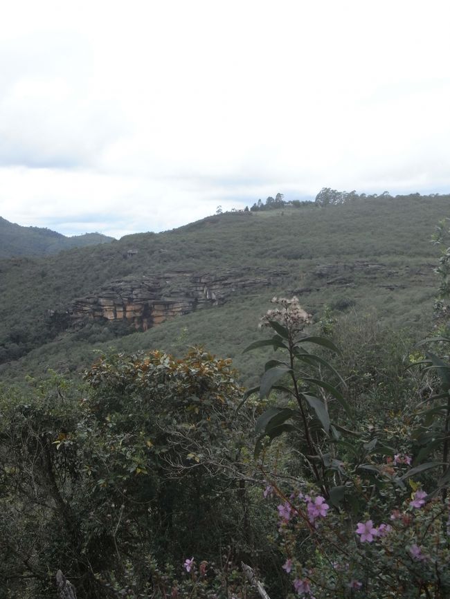 バスターミナルから近距離バスに乗って20分位山を登って、<br />更に、2時間位歩いていくと滝がある。<br />その滝に行った時の散歩道でパチリッ