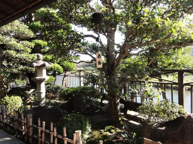 こんな風情のある縁側で頂きました。