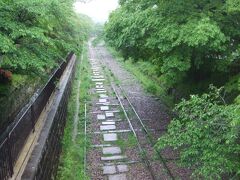 南禅寺から少し歩いたところにあるのがインクライン。船が上がれない急な坂を貨車を使って引っ張り上げるための線路の跡で、桜の名所でもあります。桜の季節に来てみたいなぁ。