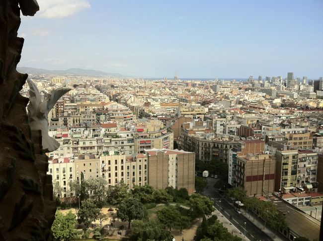 よくバルセロナの広告で見るサグラダファミリア外観のトウモロコシみたいな塔には、チケットを買うときにリフトのチケットを併せて買うことで、のぼることが出来ます。