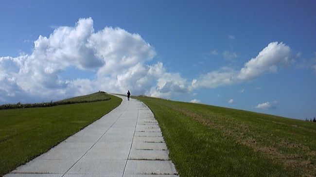 携帯写メの一枚です