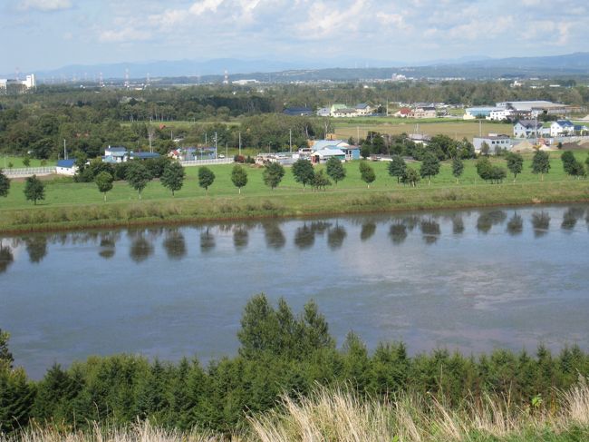 並んでいる木、水面に映る木が可愛いです