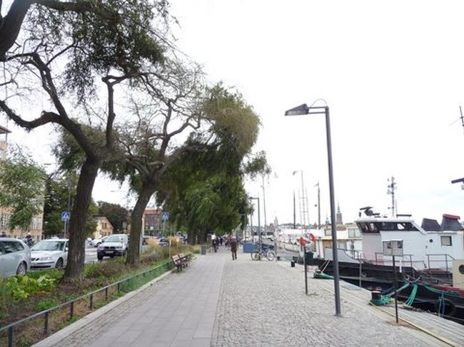 湾沿いの遊歩道。