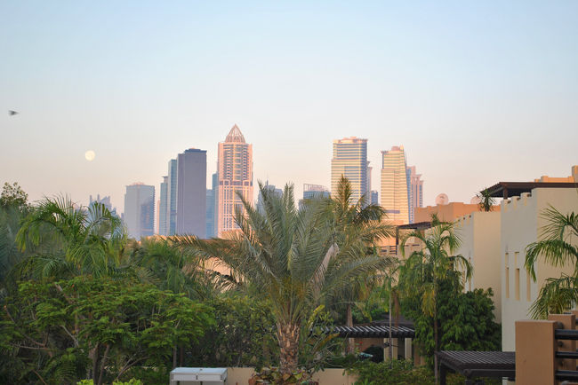 早朝のドバイ。