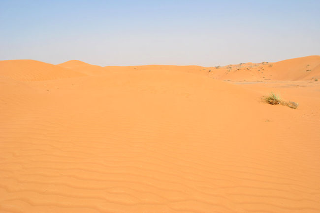 ドバイから日帰りで行ける砂漠。