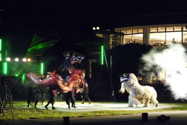 龍と獅子の戦い