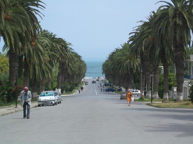 何気にカルタゴは高級住宅街<br />チュニジアセレブの街です