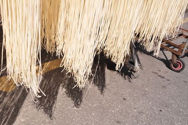 風になびいてとても気持ちよさそうでした。