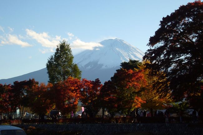 富士山が見えます。