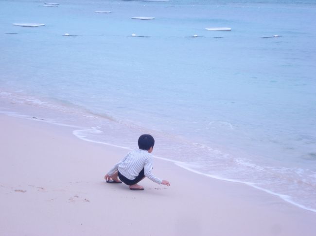 寒かったので海へは入りませんでした。<br />ウエット着て遊んでいる子供もいました。