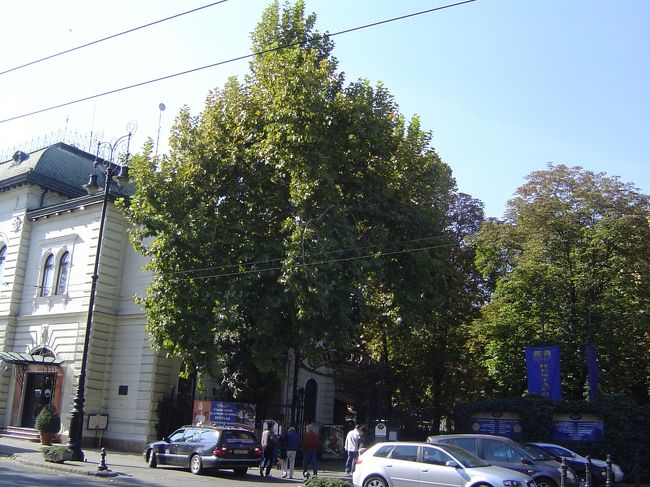 憧れのレストラン☆グンデル