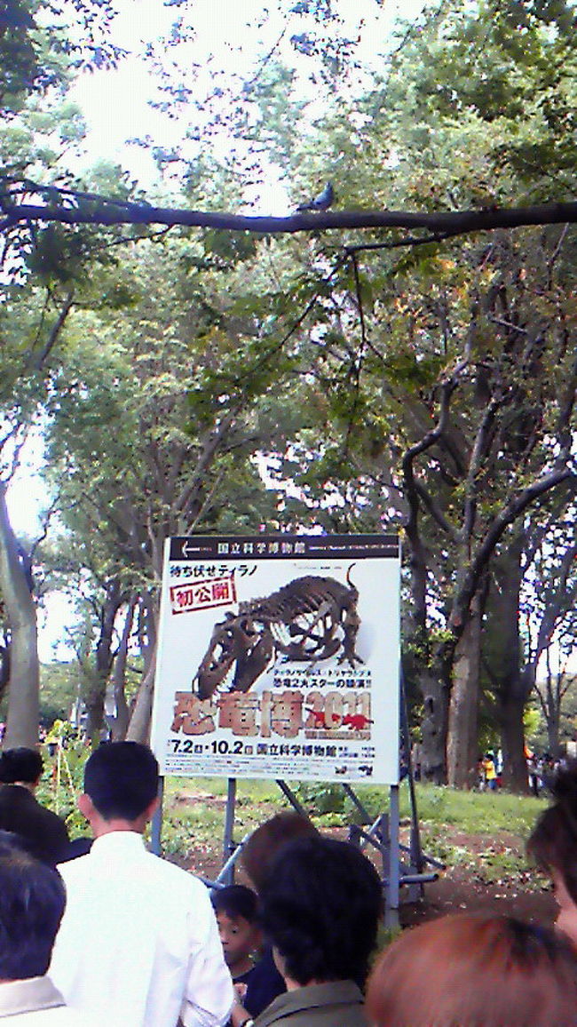 恐竜博2011・恐竜2大スターの競演-国立科学博物館』上野・御徒