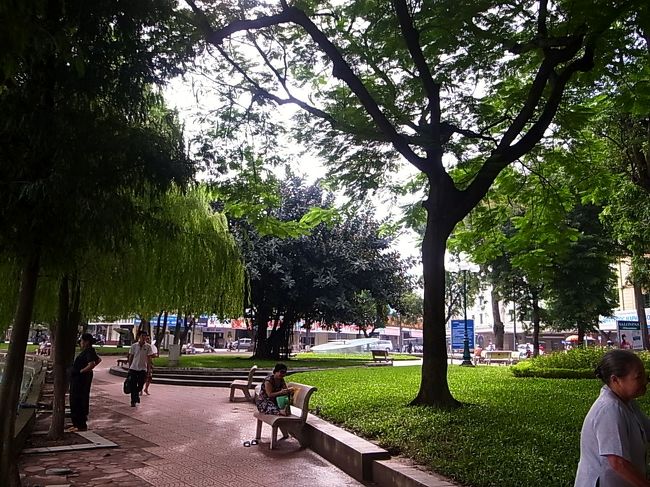 市民の憩いの場　ホアンキエム湖のあたりの緑が<br />とてもきれいです。　