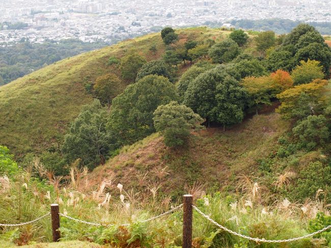 少しだけ紅葉が始まっています。