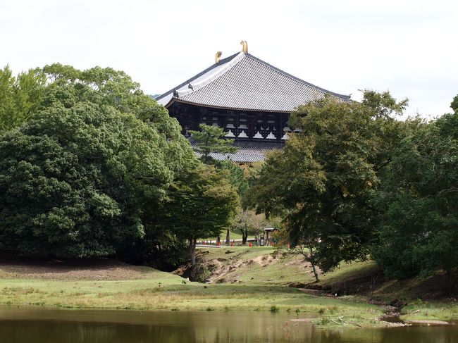 東大寺の北側から若草山ドライブウェイに入ります。<br />裏側から見えた東大寺。