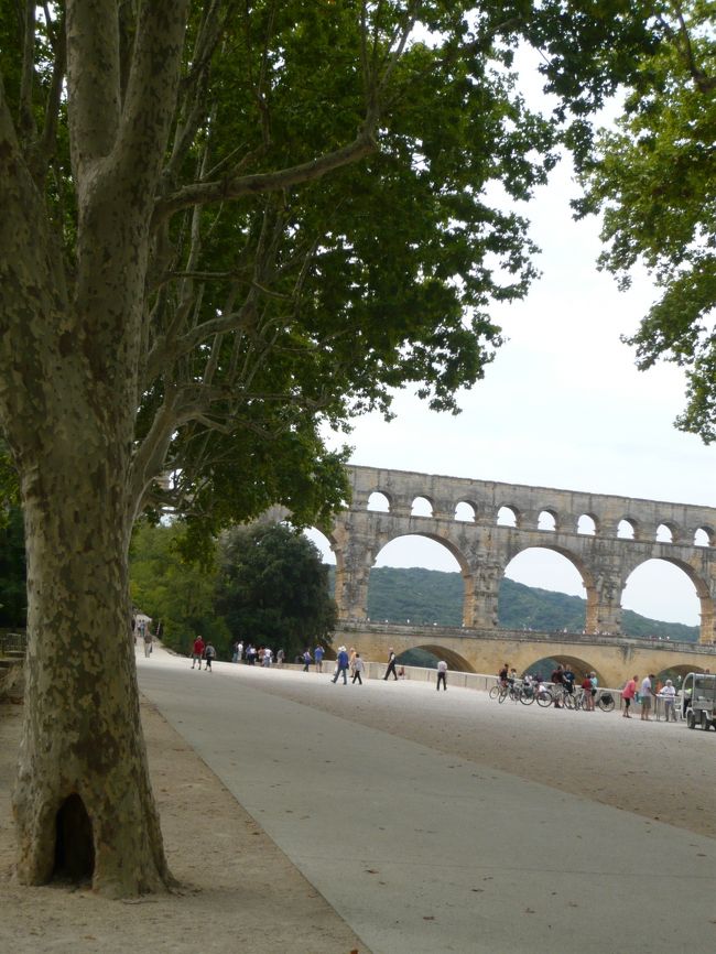 見えたー！！<br />遠くから見ても迫力満点☆