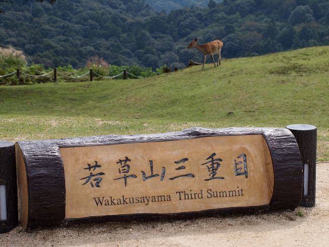 スニーカーなら歩いて上がることもできるし、車ならパンプスとスカートでも上がれますよ。