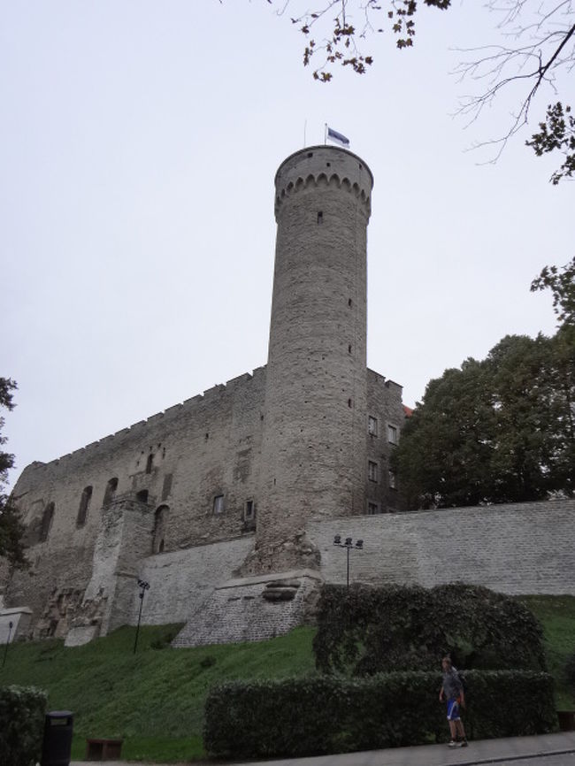 のっぽのヘルマン