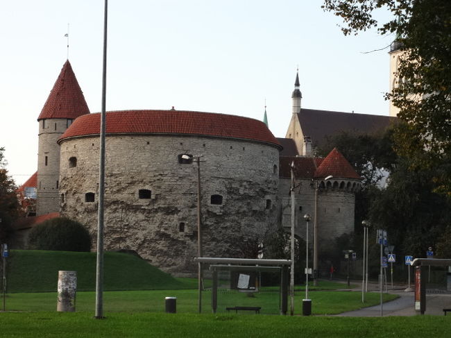 ふとっちょマルガレータ