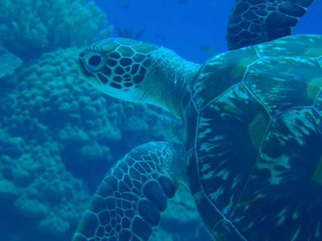 お目目ぱっちりカメコさんです。