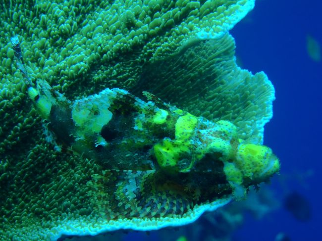 目立ってないつもりでもバレバレなとこがカワイイ子。