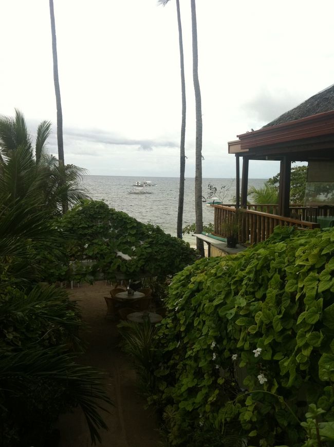 大好きなアロナビーチともお別れのときがやってきました。<br />また来るよ！！