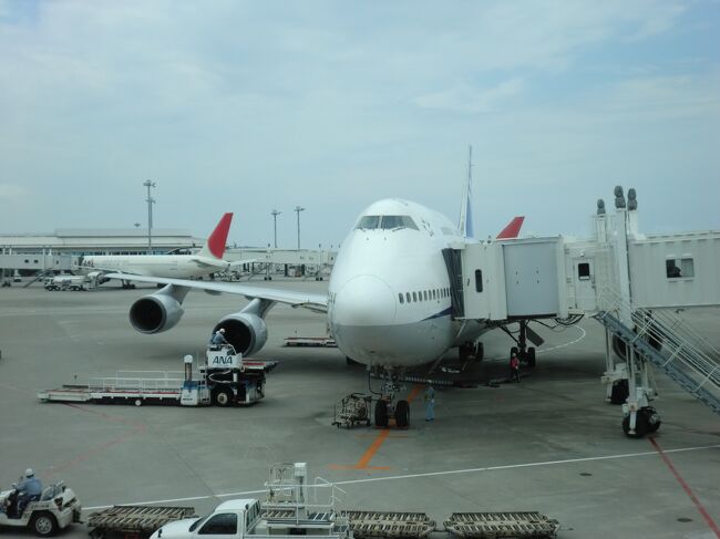 楽天市場】数量限定 ANAシート使用 トートバッグ ブルー B747