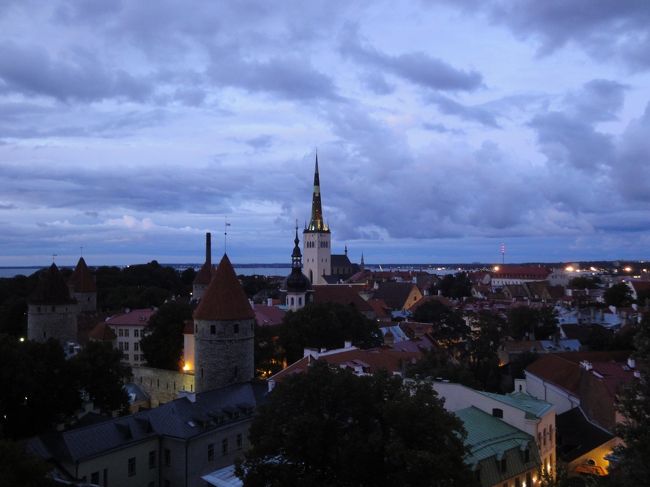 夕暮れ地がづく丘の上から