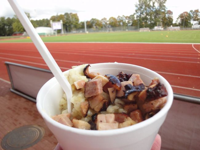 売店で売っているマッシュポテトと豚肉<br />おいしいけど量が多いと飽きる