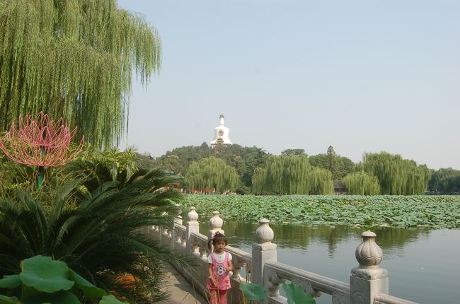 北海公園<br />いい散歩になる