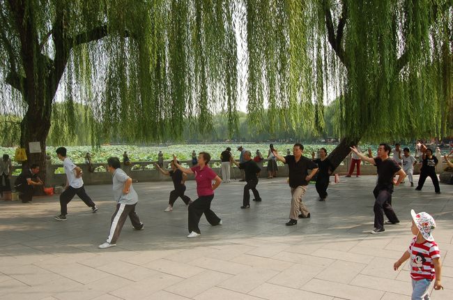 太極拳でしょうか