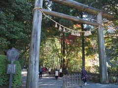 〔天岩戸神社〕

高千穂バスターミナル到着後、まずはコインロッカーに荷物を預け、すぐ近くの観光案内所で観光マップを入手。

最初の目的地として天岩戸神社を目指すのですが、高千穂の中心からけっこう（７・８キロくらい）離れています。
（計画時に）路線バスもいろいろ調べたのですがうまくはまらず、やむを得ずここはタクシーで往復することに。