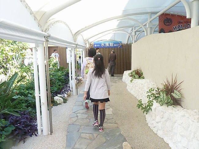 最初にこの通路を通ります。<br />右に行くと水族館。左に行くとアシカのプールと<br />ステージがあります。<br />うちは最初に左に行きました。