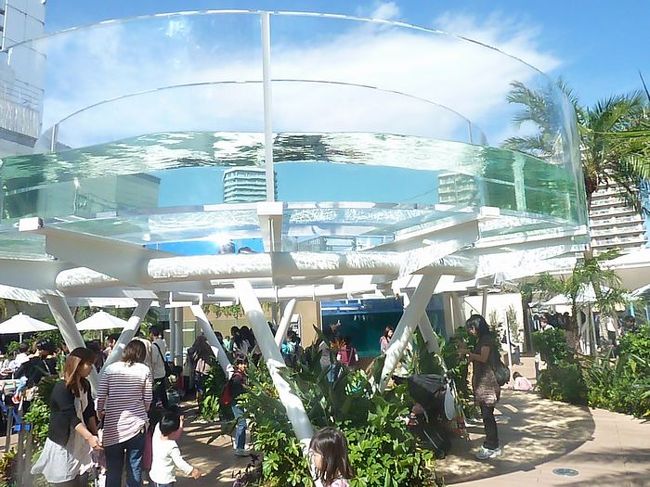 これはパンフレットで見たちょっとめずらしい<br />展示の仕方。<br />タイミングがよければアシカがここを泳いでいます。