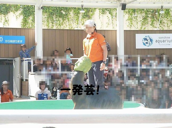 ショーはすぐ近くのステージで見ます。<br />こんな変わった一発芸？を披露してくれました。