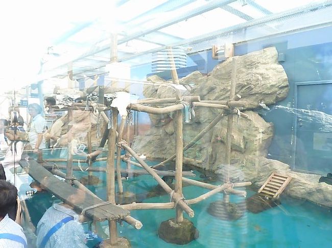 ペンギンの向かいの展示。<br />いろいろな生き物がいました。