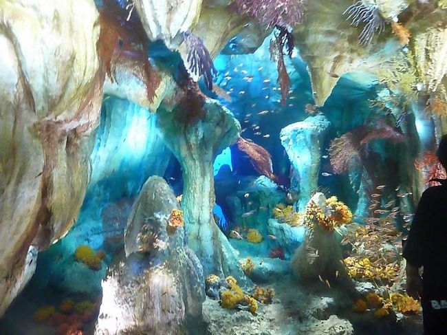 これはなんとも不思議な感じでした。