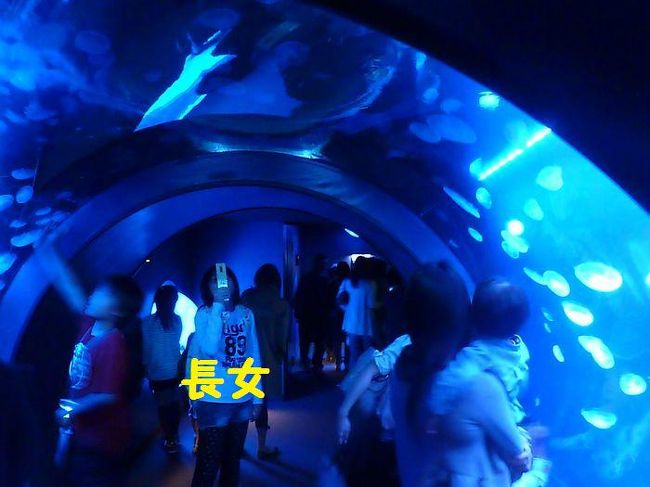 クラゲのトンネル