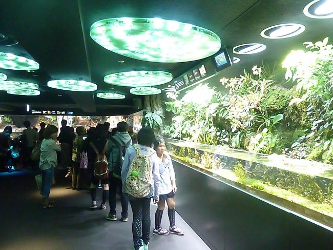 ニ階というのか、階段の上のフロアの様子