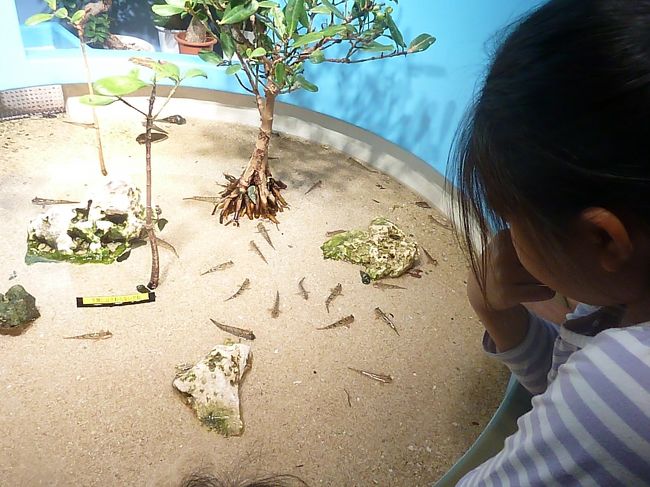 ごめんなさい。名前を忘れました。<br />むつごろうだっけ？？