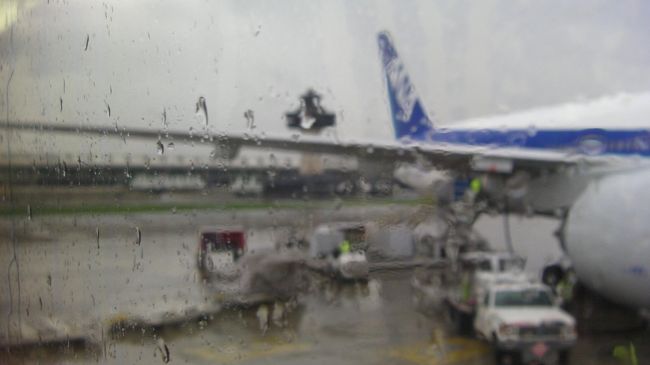 成田空港を出発して１２時間、やっとワシントンＤＣに到着。途中、気流の関係で３・４回くらい結構な揺れがありましたが無事に到着。ここでアメリカ国内線の乗り換え組は現地ＡＮＡの親切な誘導によりターミナル間を移動するモービルラウンジに案内されます。