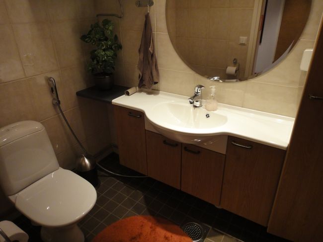 １階のトイレ。トイレが２カ所あるのは便利ですね。